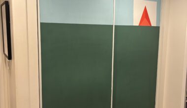 Painted my closet doors