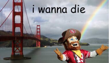 Rams and Seahawks in the nfc championship game 😢