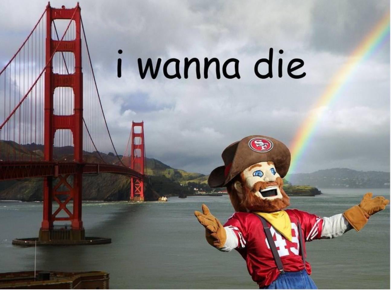 Rams and Seahawks in the nfc championship game 😢