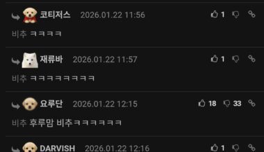 Korean fans comments on Lee Jung-hoo's detention