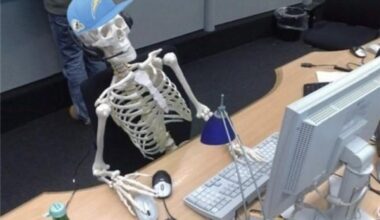 Me refreshing Chargers social media for “got our guy ⚡️ we’ve named Mike McDaniel our offensive coordinator”