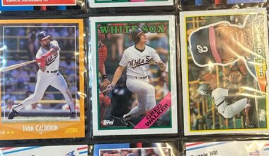 1988 opening day lineup; should I keep the one dog rated rookie or get his topps card that looks like Fisk’s?