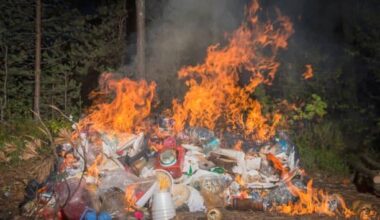 Day 11 of me posting pictures of trash fires until the Kings fire Jim Hiller