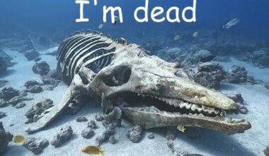 Keeping in the finest traditions of this sub