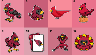 The 2025 Arizona Cardinals Doodles :) Which is your favorite?