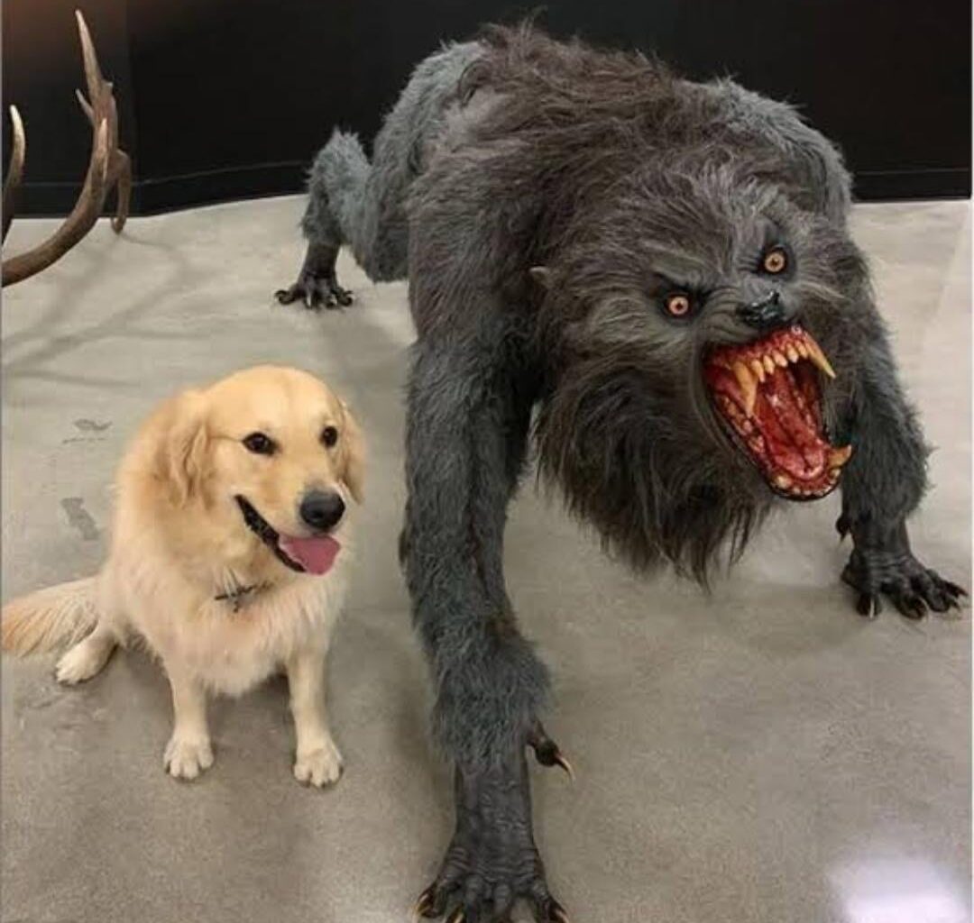 A photo of Jake LaRavia, standing besides Jake LaRavia when he versus the Grizzlies