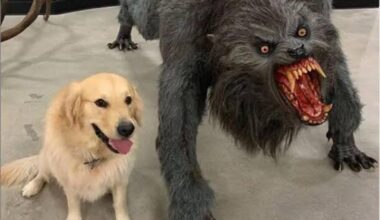 A photo of Jake LaRavia, standing besides Jake LaRavia when he versus the Grizzlies