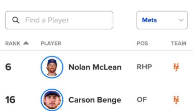 The Mets have 4 players in the MLB's Top 100 prospects
