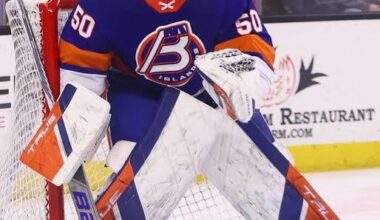 Could Henrik Tikkanen be the Islanders’ backup next year?