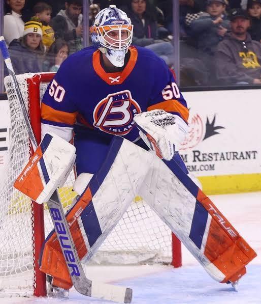 Could Henrik Tikkanen be the Islanders’ backup next year?