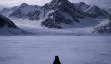 my entire insta feed just this penguin rn 🐧