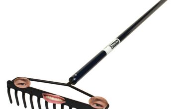 Rake “Rake Maye” Maye