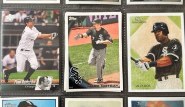 These guys kicked off the 2010s for the White Sox