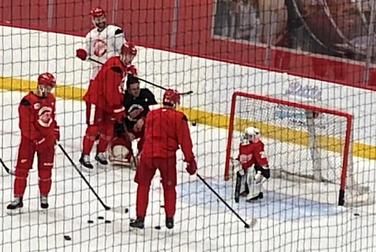 Red Wings happy to make wish come true for 4-year-old goalie