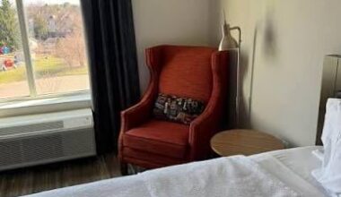 How some of yall look rooting for Ben Johnson and the Bears