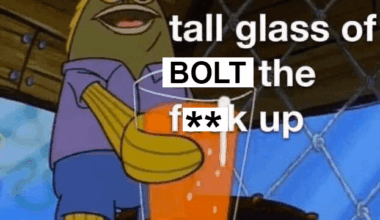 Everyone, we’re in the playoffs, please drink