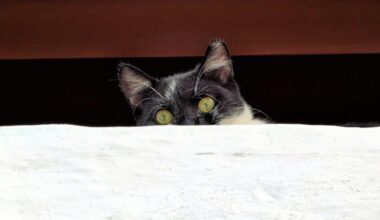 Deandre hunter might want out of cleveland