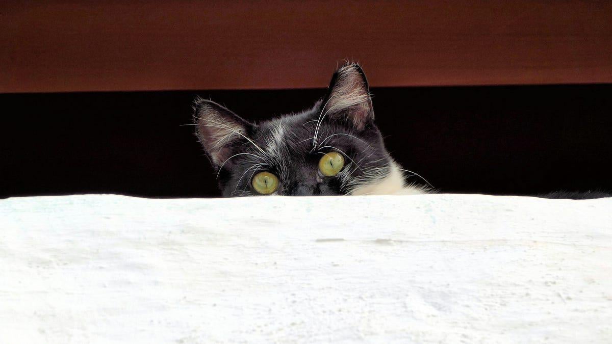 Deandre hunter might want out of cleveland