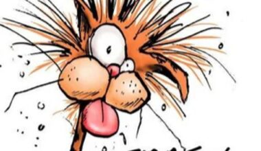 Ken Daneyko caught on a hot mic