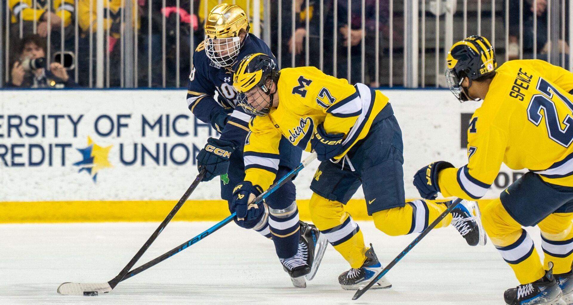 Ivankovic will be out for a "long time"