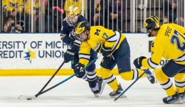 Ivankovic will be out for a "long time"