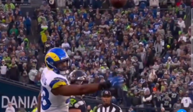 Everyone was so distracted with the one-handed catch that no-one realized it was a no-look pass from Darnold