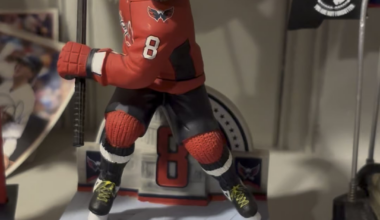 We’re back!!! Ovi tax paid, and a rare Lappy goal as well!