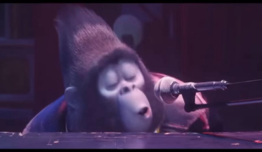 Jets fans Watching Sam Darnold in the playoffs