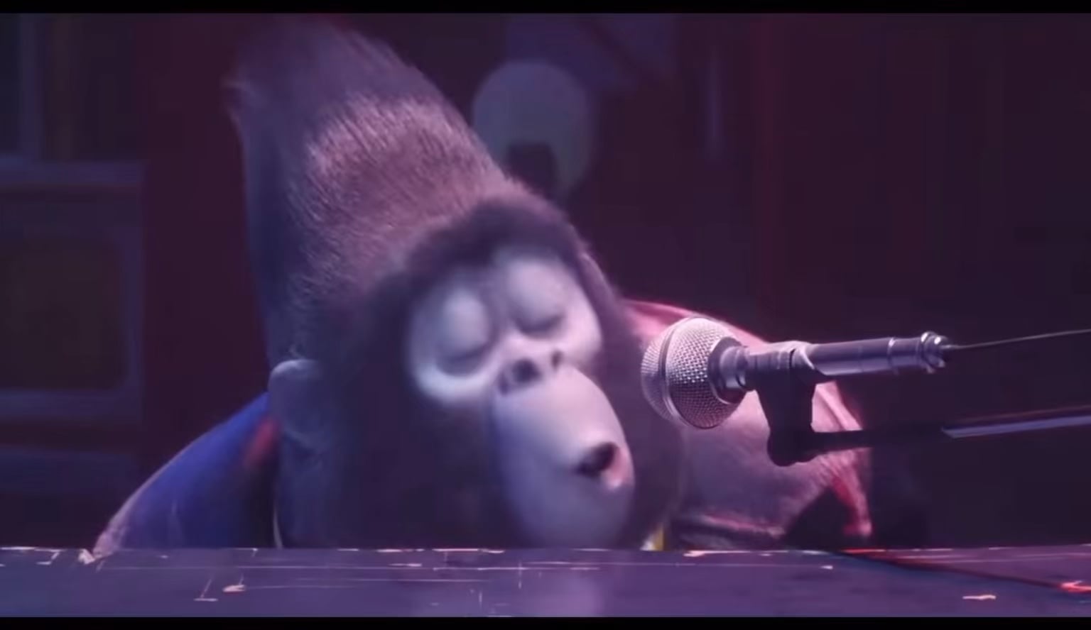 Jets fans Watching Sam Darnold in the playoffs