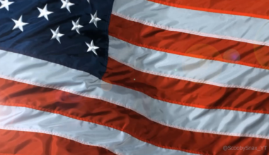 PLEDGE ALLEGIANCE TO THE FLAGG