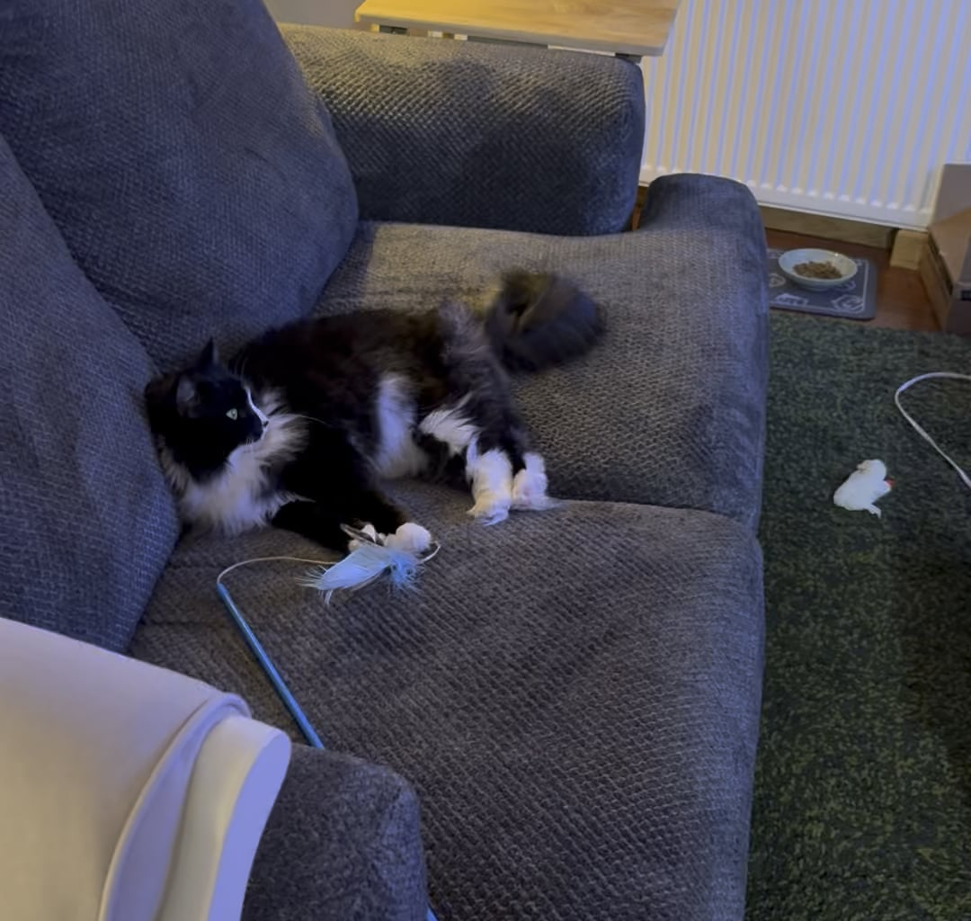 She has high standards