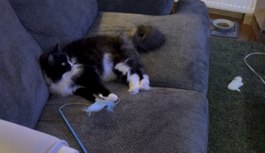 She has high standards