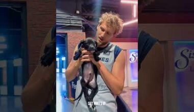 A little something different: The Grizzlies face off against some REAL dawgs