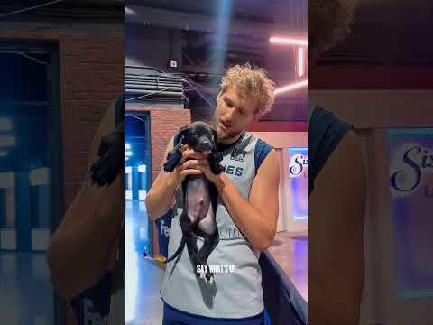 A little something different: The Grizzlies face off against some REAL dawgs