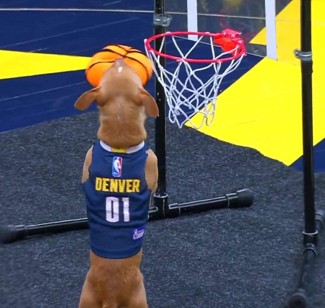 [Highlight] Scooby throws down a mean 360 dunk