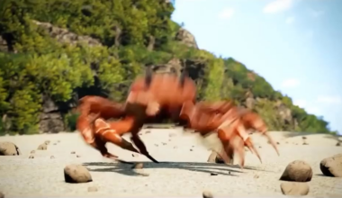 Goodbye losing streak, hello winning streak. Bring out the dancing crabs!!!