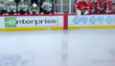 DOG (Miro better angle)