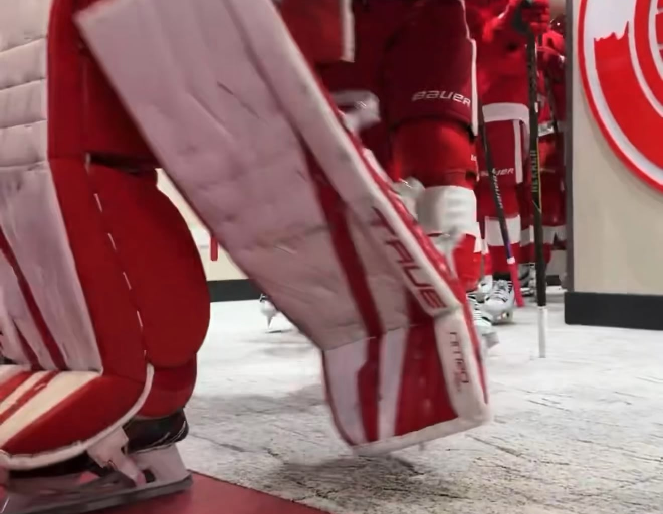Red Wings Fedorov skates