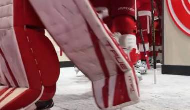 Red Wings Fedorov skates