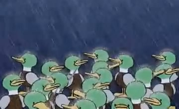 WE WON THE FREEWAY FACEOFF WEEKEND!!!!!