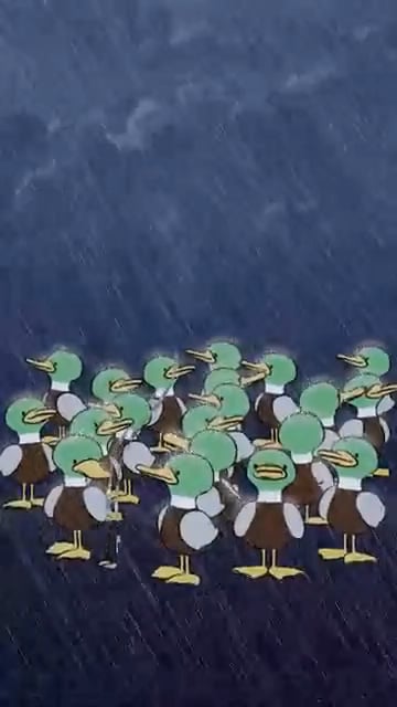 WE WON THE FREEWAY FACEOFF WEEKEND!!!!!