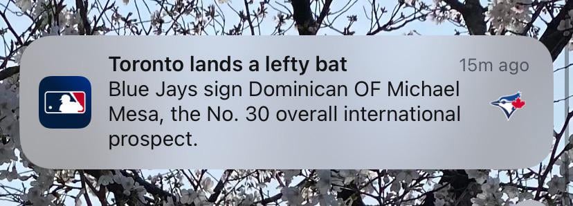 Whoever chose that title needs a time out