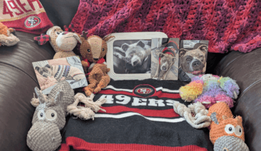 Our girl just passed away but she is here in spirit!