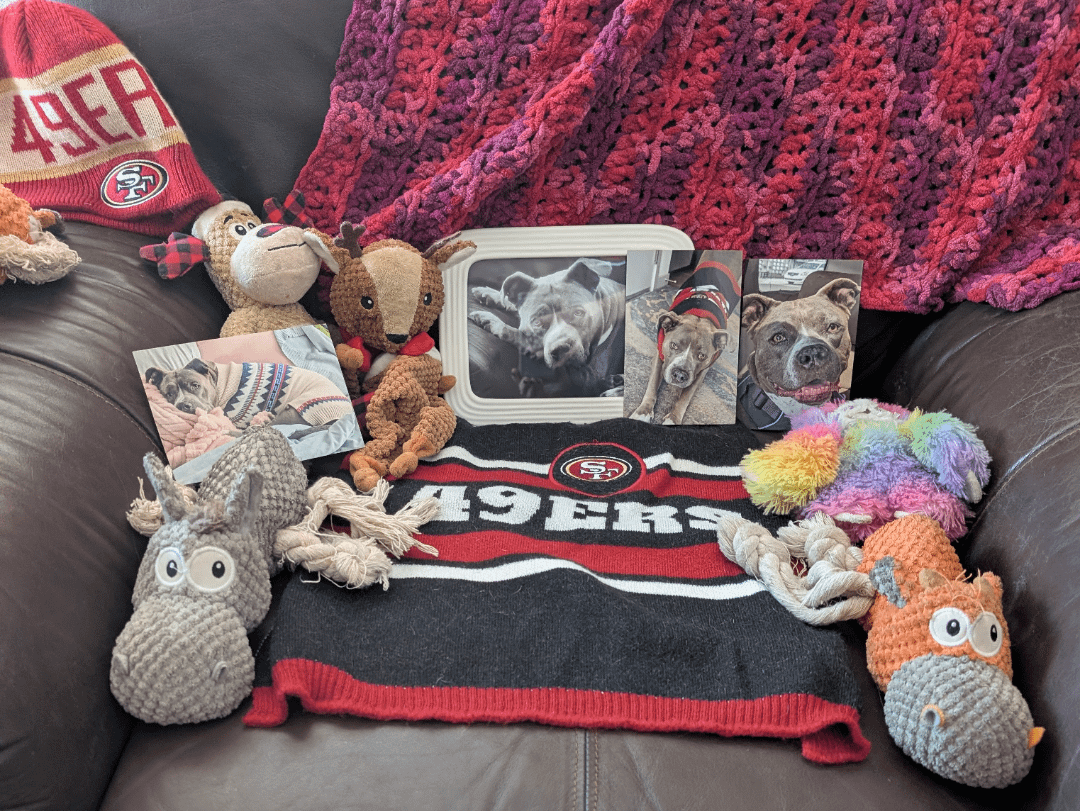 Our girl just passed away but she is here in spirit!