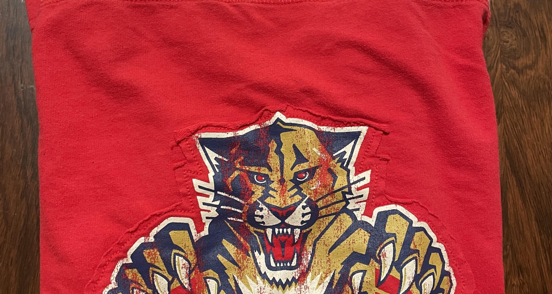 First Panthers merch