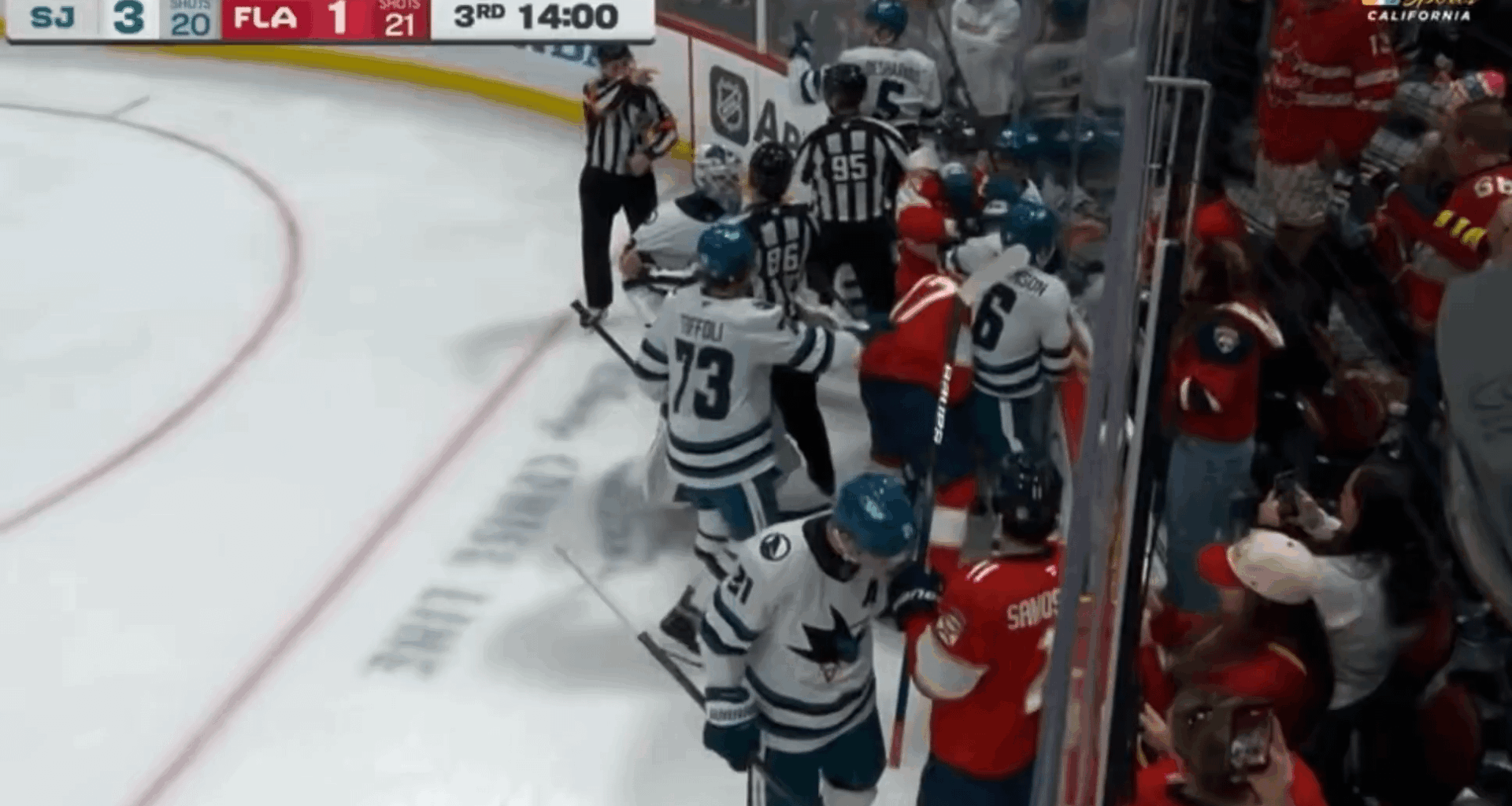 GOALIE FIGHT IN FLORIDA: Alex Nedeljkovic vs Sergei Bobrovsky