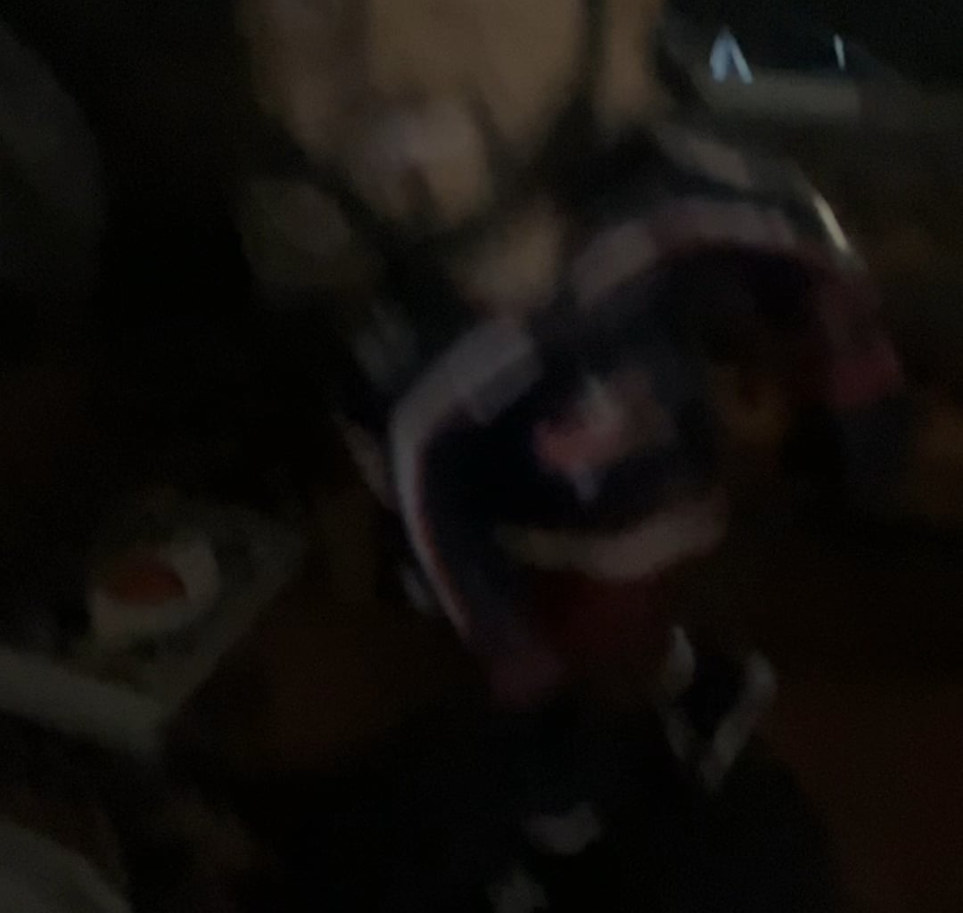 Let’s Go Jackets!!! Headphone warning!