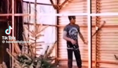 Ted Williams watching Mike Piazza as a teen