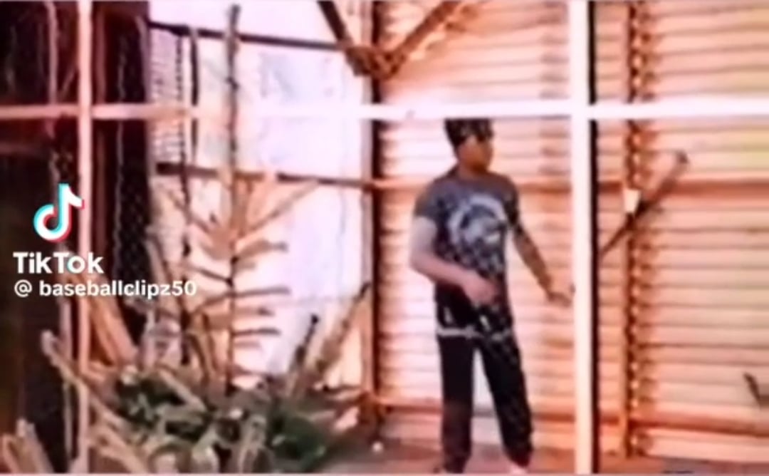 Ted Williams watching Mike Piazza as a teen