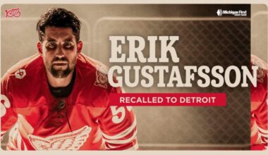 UPDATE: The #RedWings have recalled Erik Gustafsson from the AHL’s Grand Rapids Griffins.